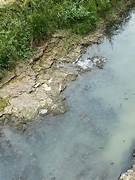 Nuevamente fuertes olores y contaminación en el Arroyo Ludueña entre Funes y Rosario